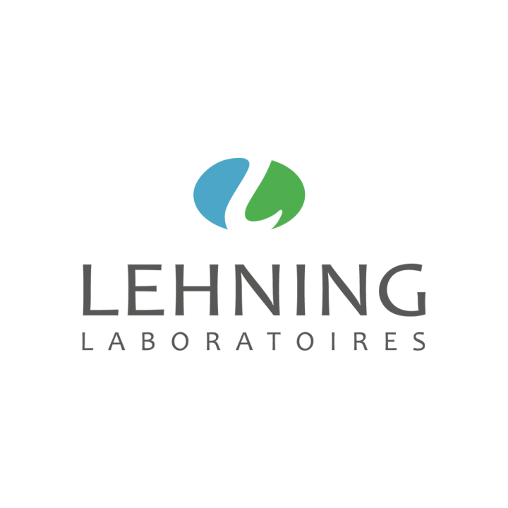 Logo Lehning