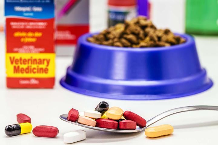 Vente de produits vétérinaires Caissargues